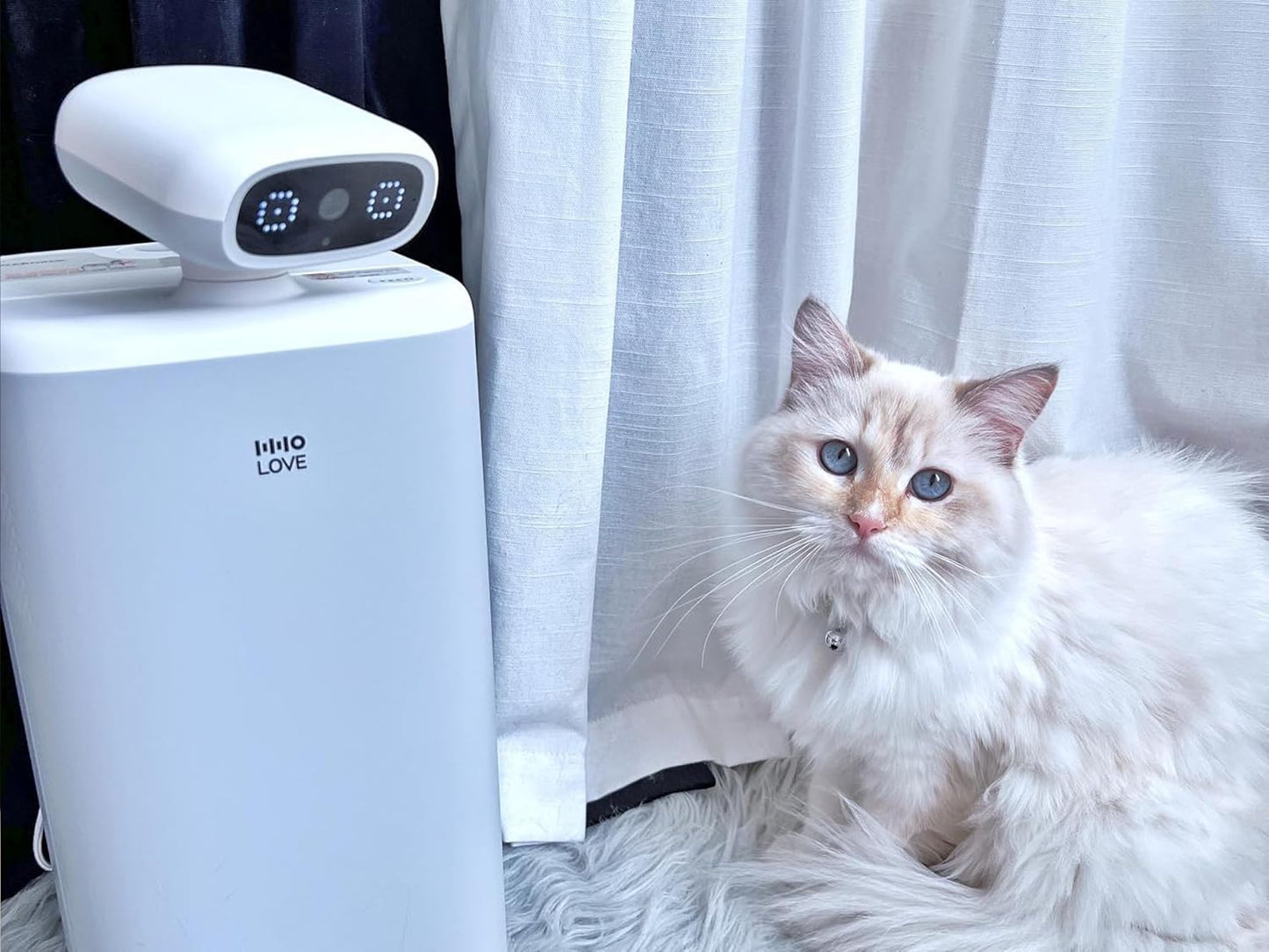 HHOLOVE Automatic Cat Feeder with Camera 360°, 2K HD Video with Night Vision & 2-Way Audio, 5G Cat Food Dispenser with Low Food Sensor, Record Lovely Moments, O Sitter VIP Version